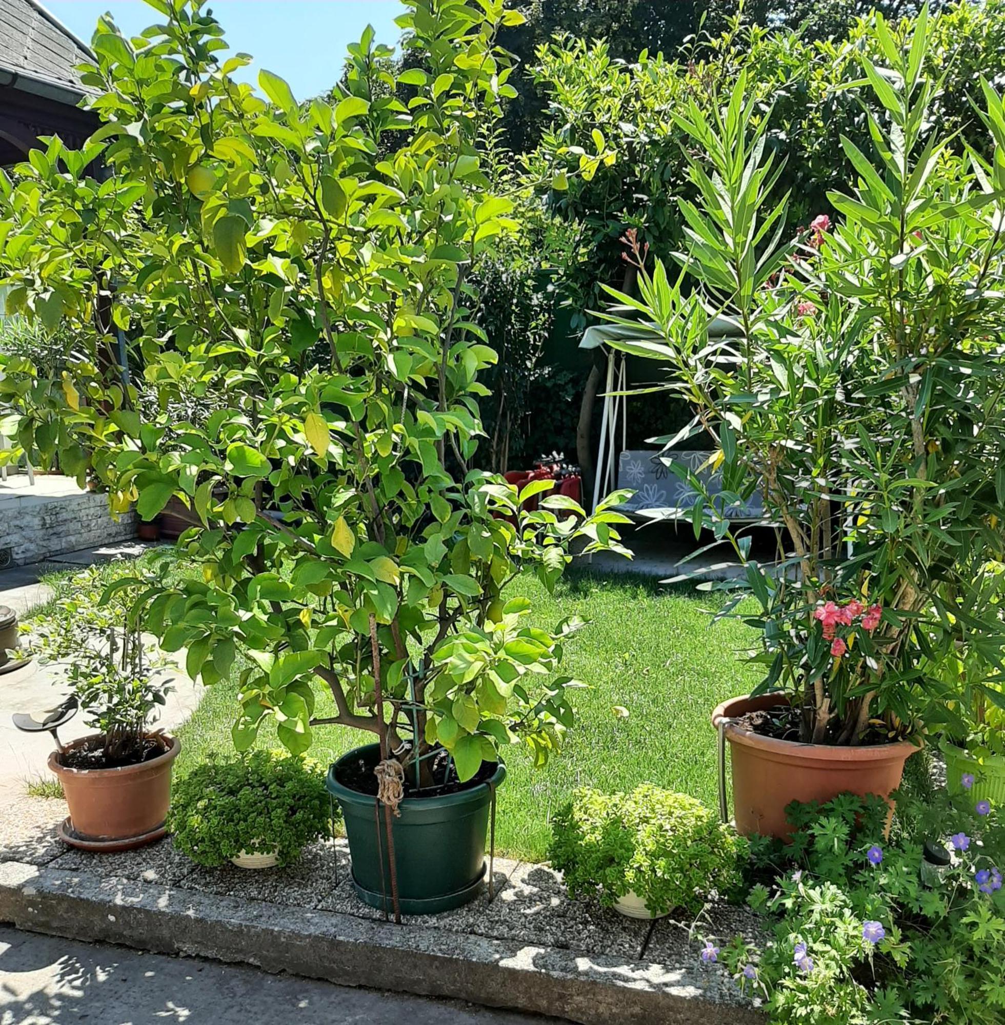 Ferienwohnung Tinka Haz Siófok Exterior foto