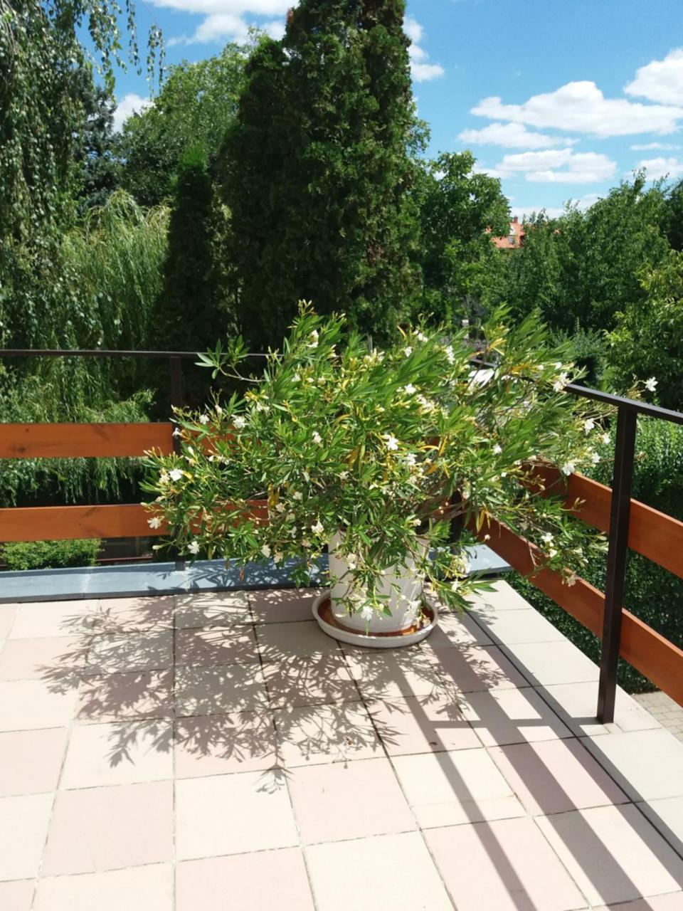 Ferienwohnung Tinka Haz Siófok Exterior foto